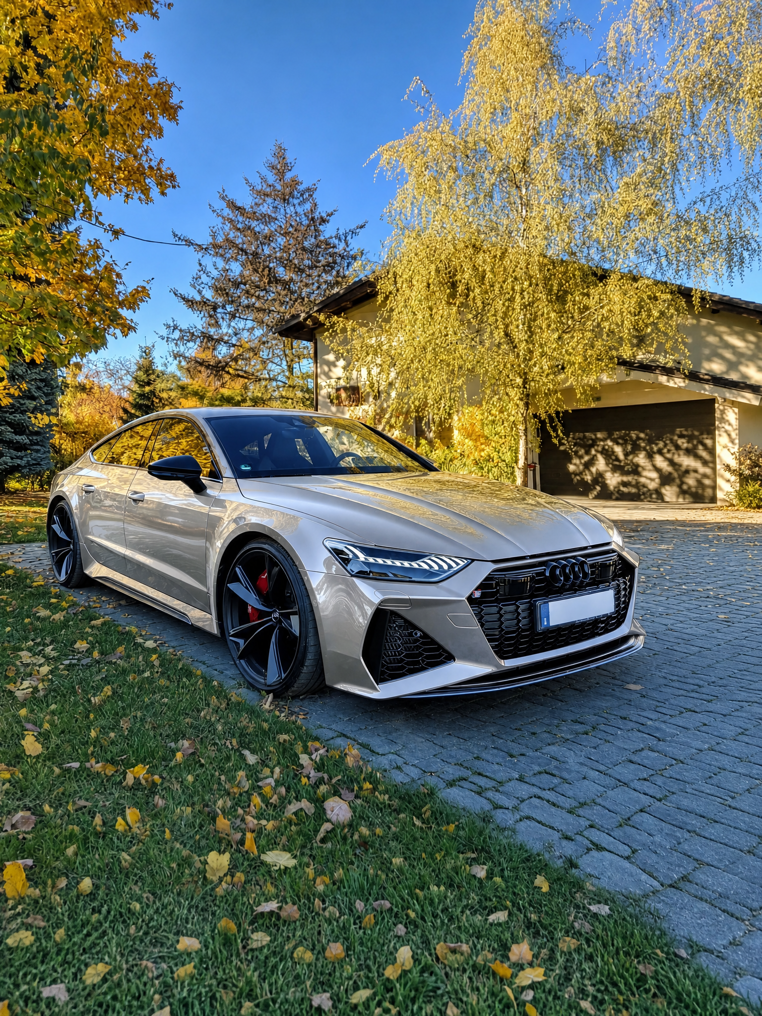 Gloss Liquid Metallic Aluminum