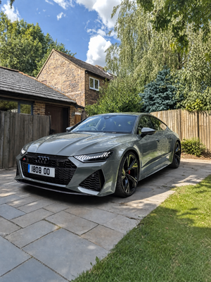Gloss Metallic Sage Green