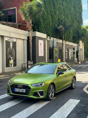 Matte Magic Green