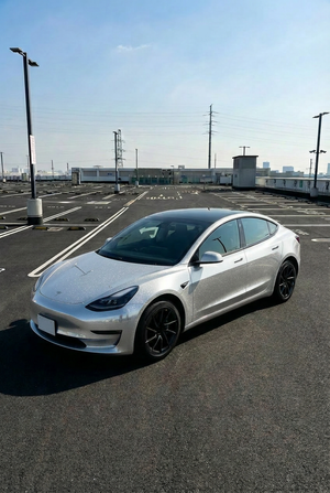 Gloss Reflective Silver
