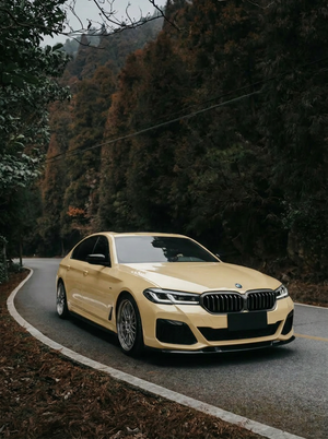 Gloss Sahara Yellow(Light)