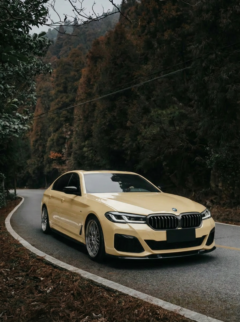 Gloss Sahara Yellow(Light)
