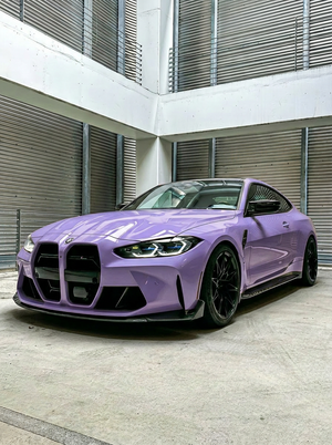Frog Purple