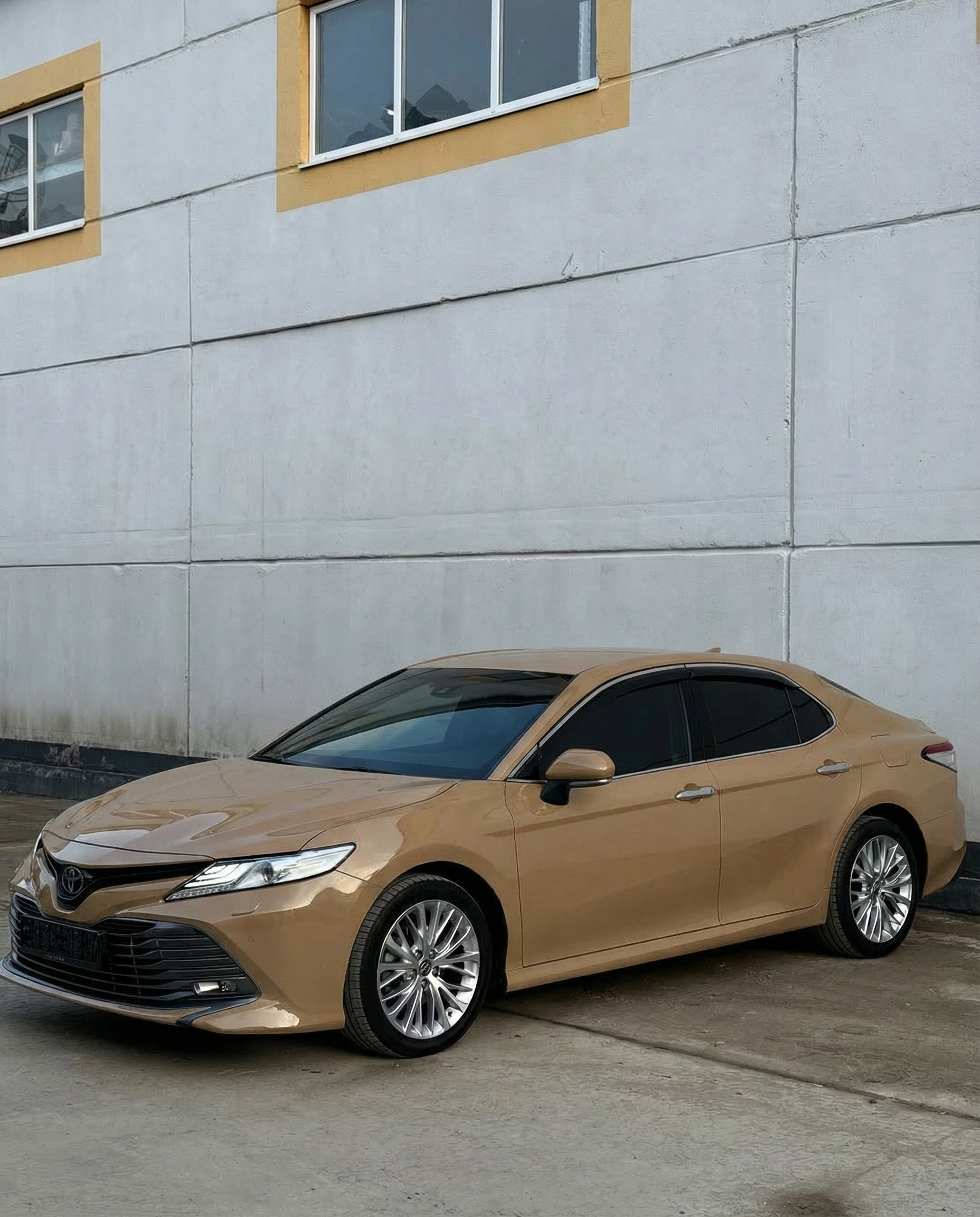 Gloss Sand Beige