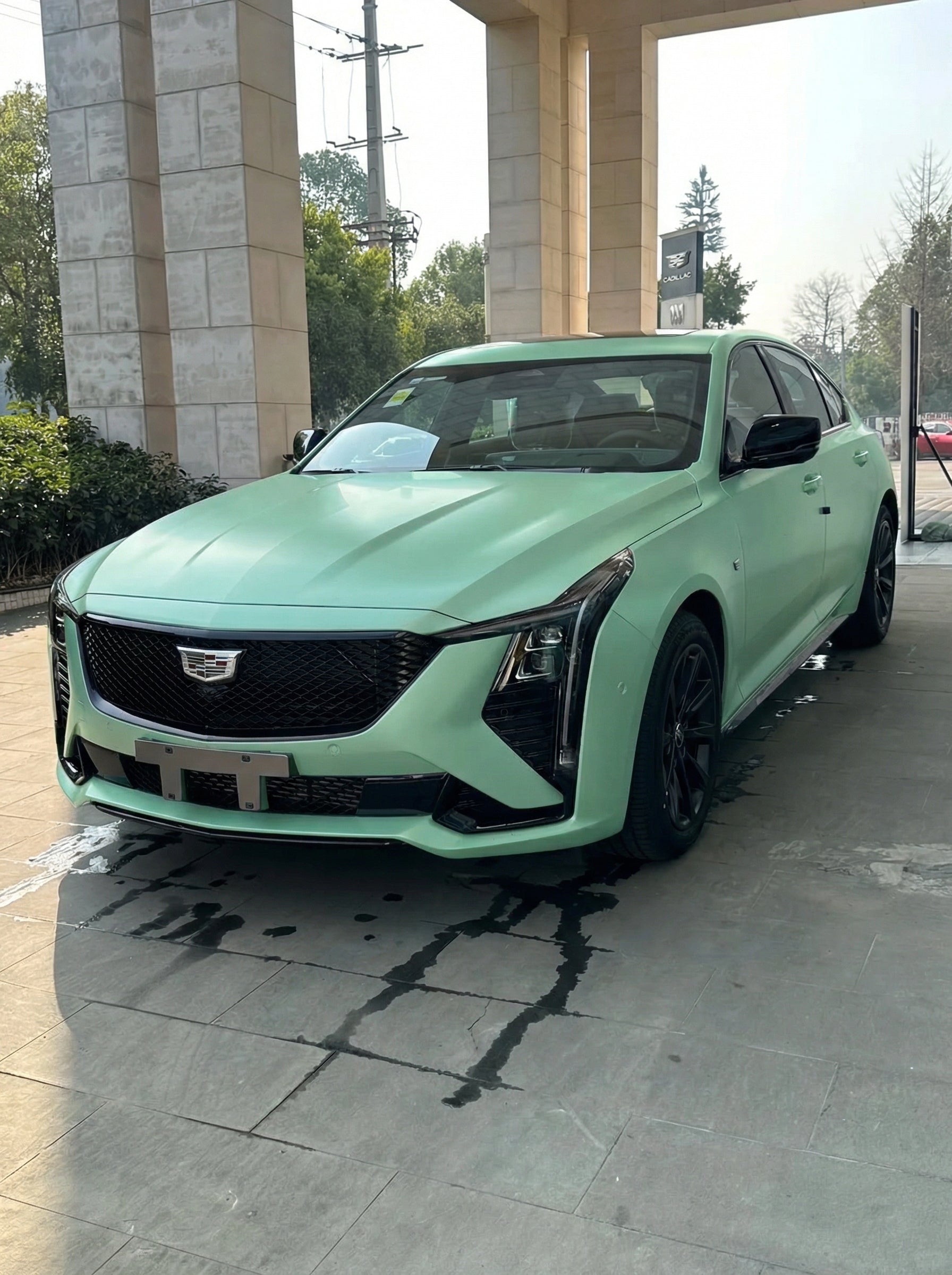 Gloss Cragginess Green